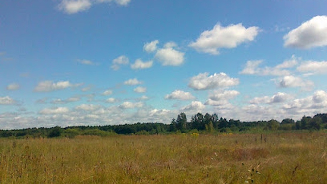 Rezerwat Bagno Serebryskie