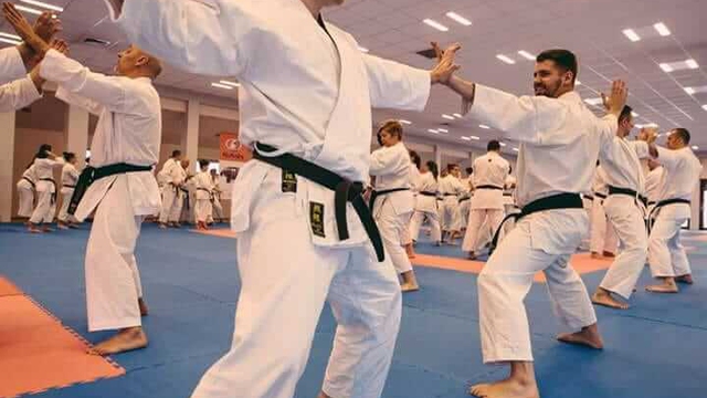 Karate - poziom początkujący