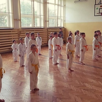 Karate - grupa zaawansowana