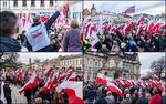 ,,Protest Wolnych Polaków" w Nowym Sączu. ,,Ruda wrona orła nie pokona"