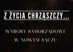 Z życia chrząszczy: Kurek o wyborach samorządowych [odcinek 27] - Twój Sącz