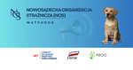 Sala gimnastyczna w Starym Sączu. Przetarg z wątpliwościami.