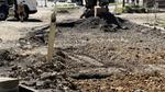 Nowe utrudnienia i objazdy w centrum Nowego Sącza [ZDJĘCIA]