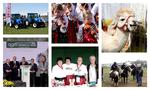 Agropromocja 2025. Dziesiątki wystawców, tłum odwiedzających