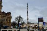 Imponująca palma stanęła na nowosądeckim rynku. Wielkanoc coraz bliżej - Nowy Sącz Info