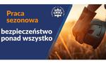 Praca sezonowa - szansa na zarobek, ale także odpowiedzialny wybór