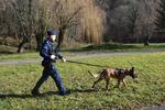 Dziś Dzień Psa - doskonała okazja, by podziękować policyjnym czworonogom i ich przewodnikom